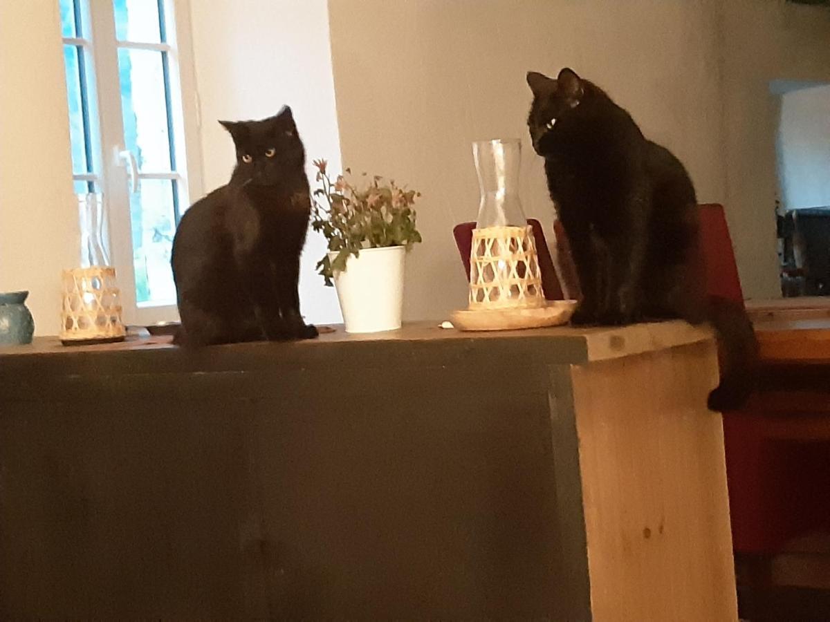 L'Embellie Hotell Thueyts Eksteriør bilde